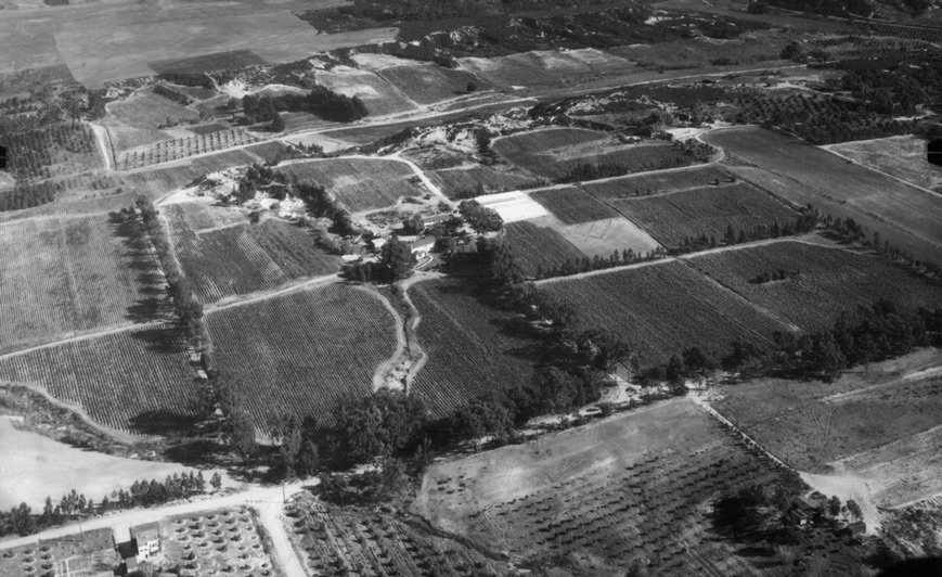 Our Story - Coastal Roots Farm