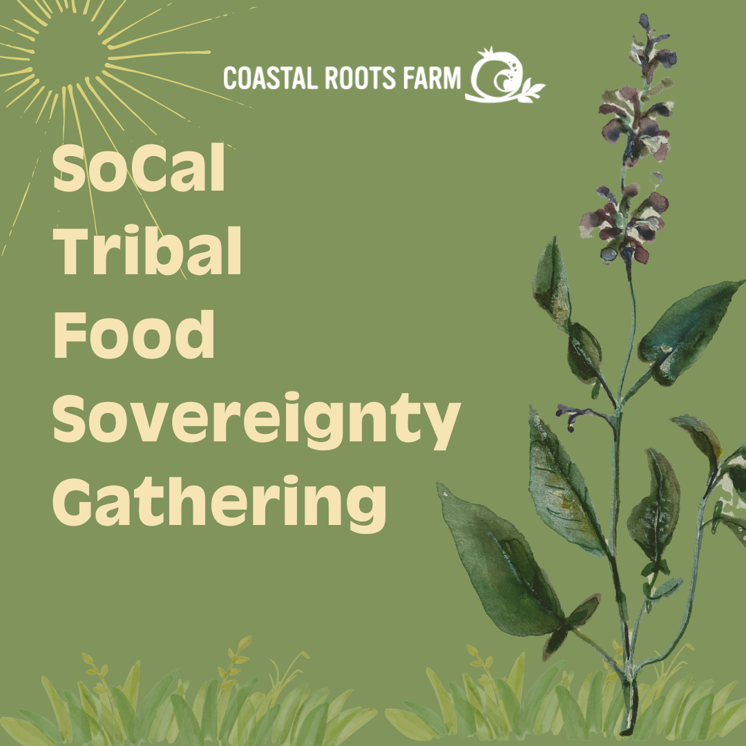 SoCal Tribal Food Sovereignty Gathering Coastal Roots Farm