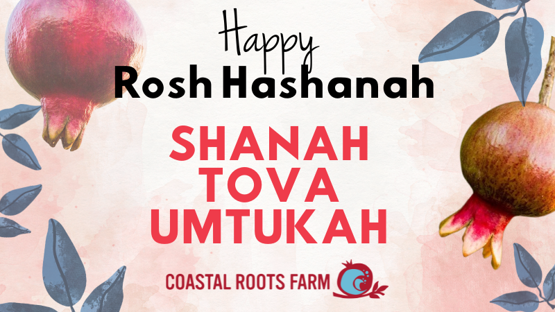 rosh hashanah