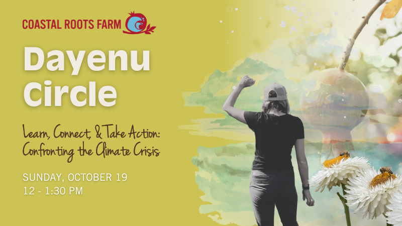 Dayenu Circle Graphic_Website Header (1)